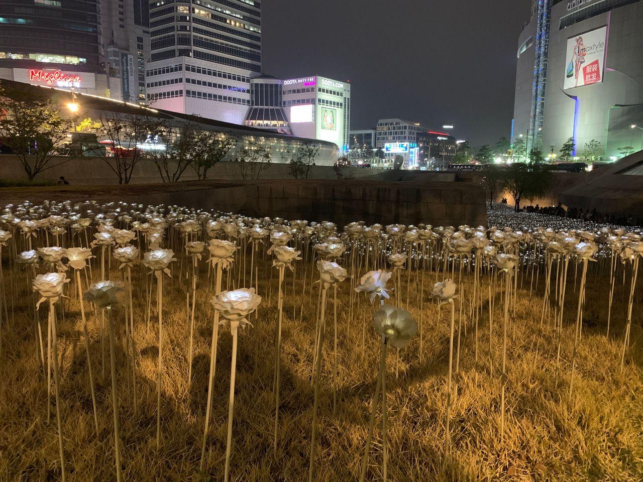 2025 Dongdaemun Night Market Visit! - Enjoy all the attractions from lively DDP night market!